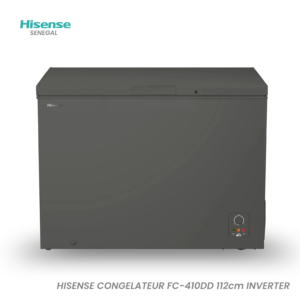 CONGELATEUR HISENSE HORIZONTAL INVERTER GRIS FC410DD