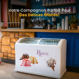 CONGELATEUR ROCH HORIZONTAL 500LITRES VITRINE BLANC RIS500D