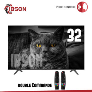 TELEVISEUR IBSON 32'' SMART + 2 TELECOMMANDES + VOICE CONTROL IB0032F25S