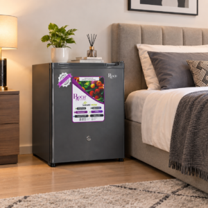 REFRIGERATEUR ROCH BAR 1PORTES GRIS RFR60SI