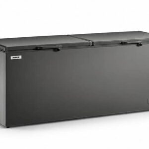 CONGELATEUR FINIX HORIZONTAL 2PORTES 600LITRES GRIS FIN-600
